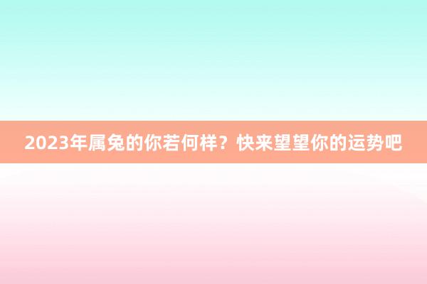 2023年属兔的你若何样？快来望望你的运势吧