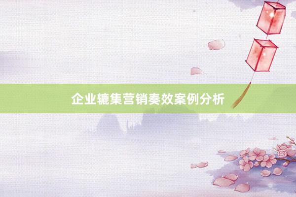 企业辘集营销奏效案例分析