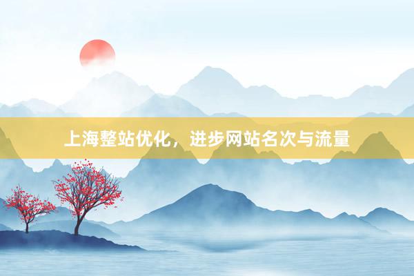 上海整站优化，进步网站名次与流量