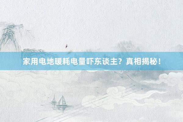 家用电地暖耗电量吓东谈主？真相揭秘！